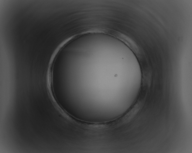 X0000100910804200806241312