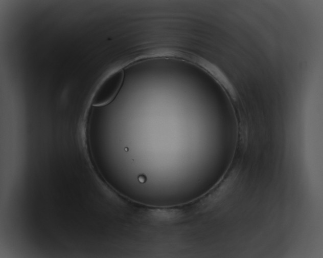 X0000100910805200806241312