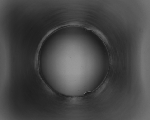 X0000100910808200806241312