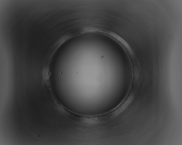 X0000100910809200806241312