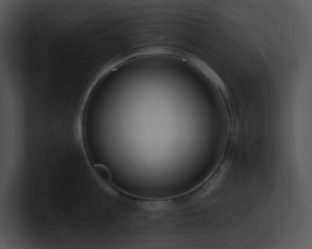 X0000100910813200806241312