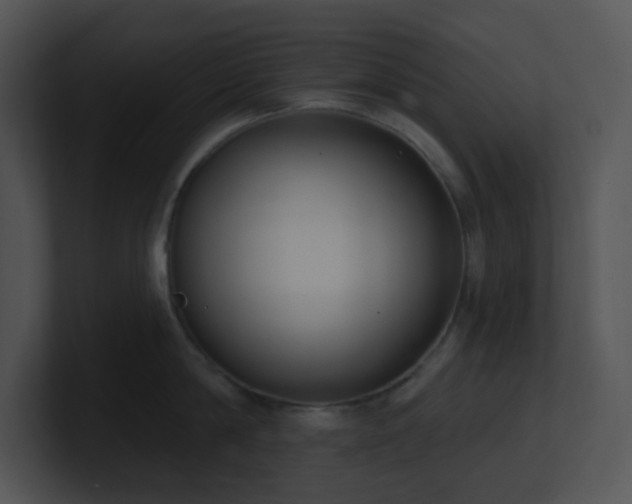 X0000100910814200806241312