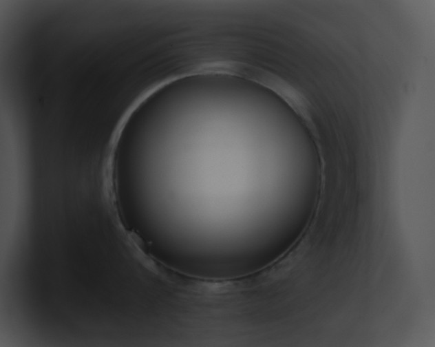 X0000100910816200806241312