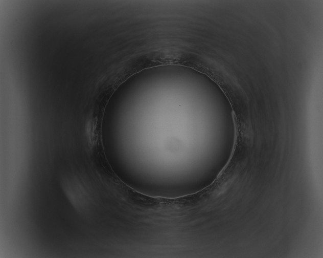 X0000100910818200806241311