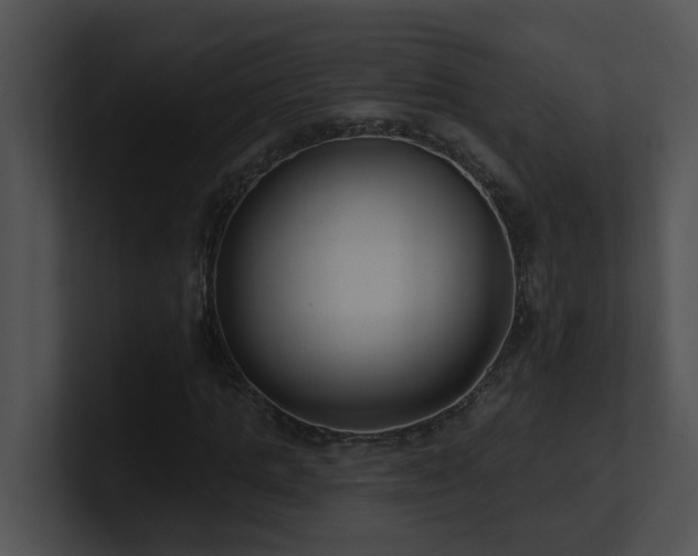 X0000100910821200806241311