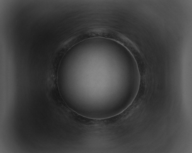 X0000100910822200806241311