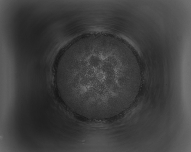 X0000100910823200806241311