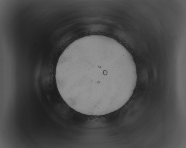 X0000100910824200806241311
