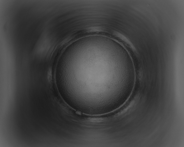 X0000100910825200806241311