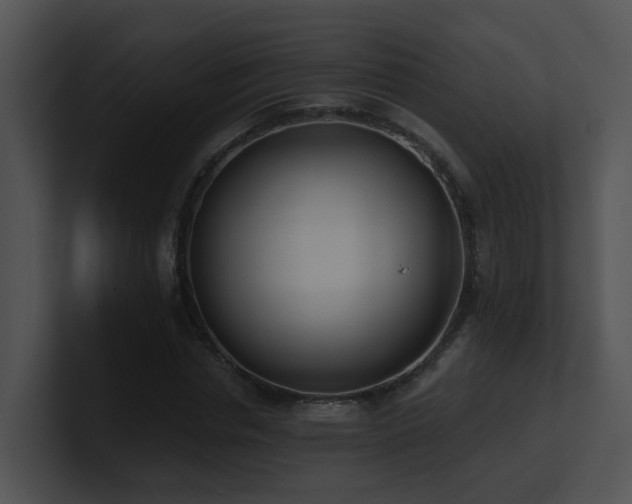 X0000100910826200806241311