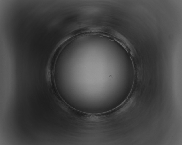 X0000100910827200806241311