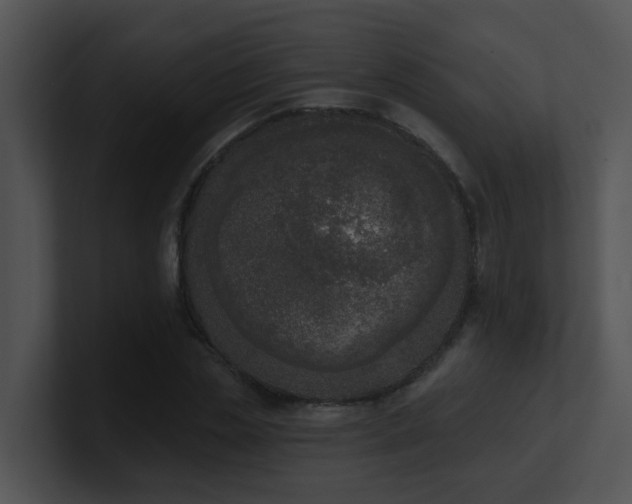 X0000100910829200806241311