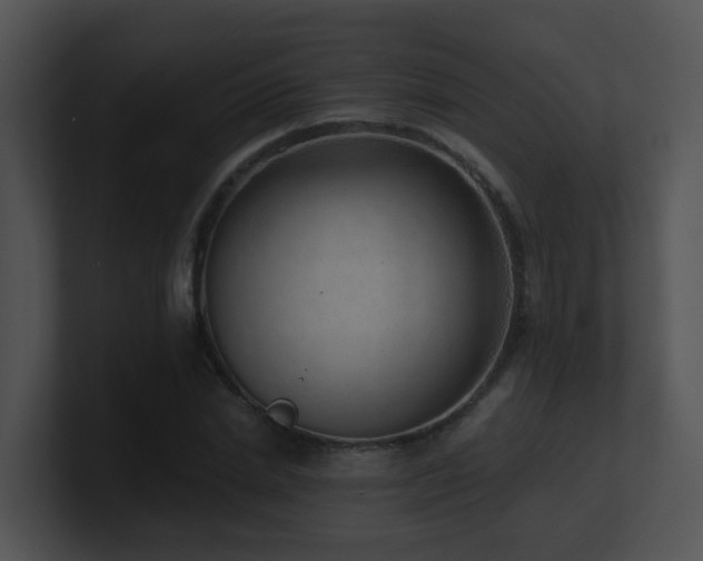 X0000100910830200806241311