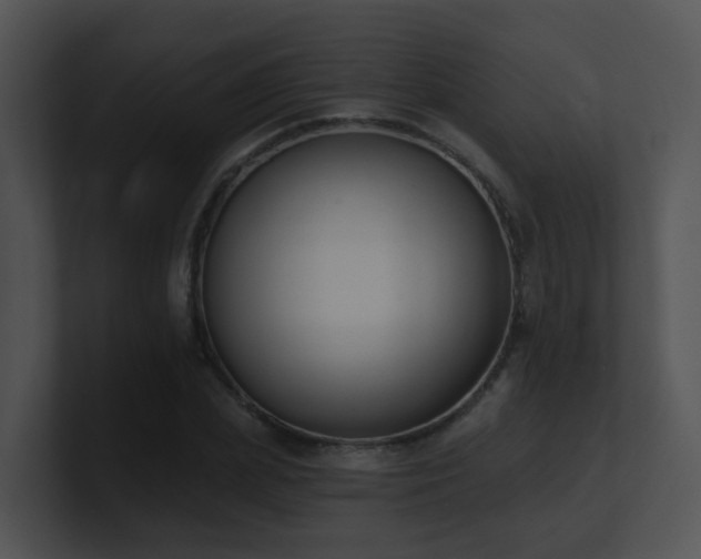X0000100910831200806241311