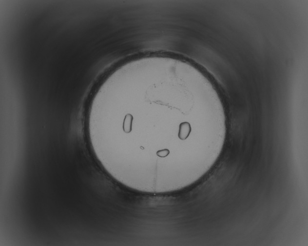 X0000100910832200806241311