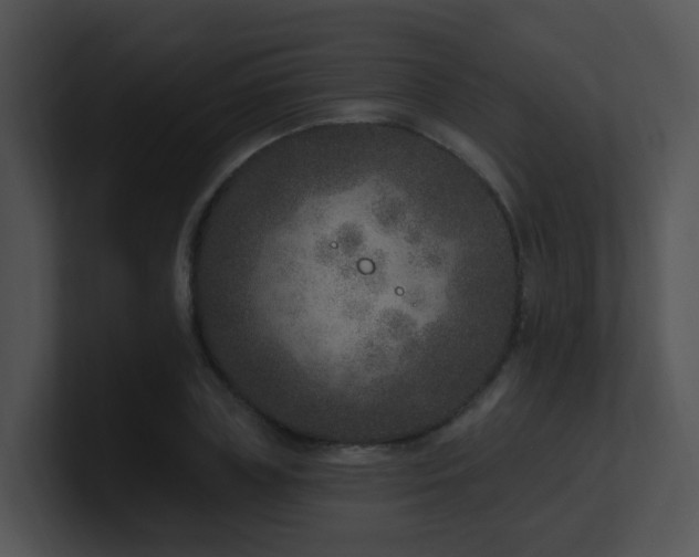 X0000100910835200806241311