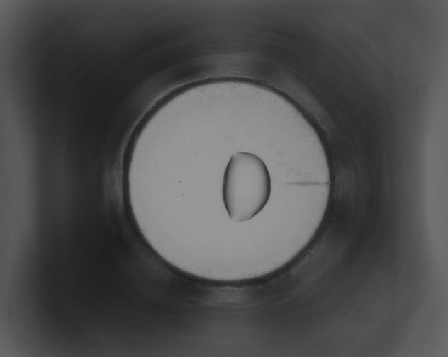 X0000100910836200806241311