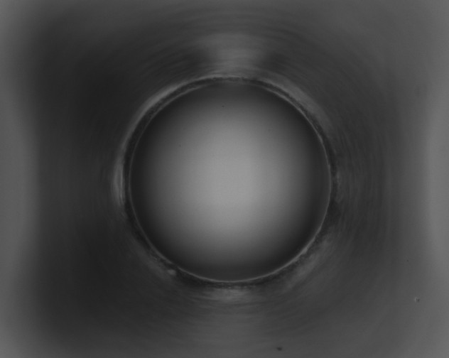 X0000100910838200806241311