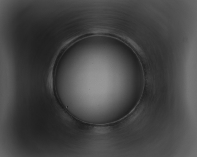 X0000100910840200806241311