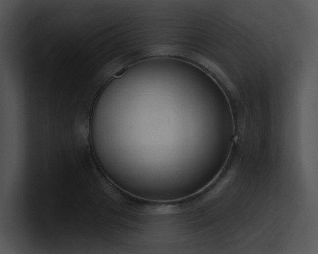 X0000100910841200806241311