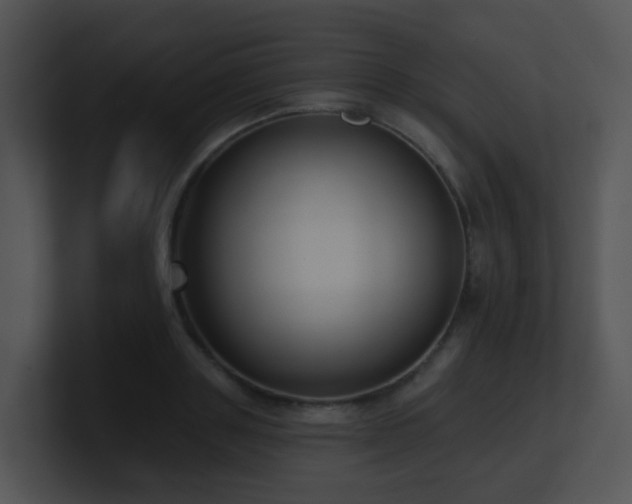 X0000100910843200806241311