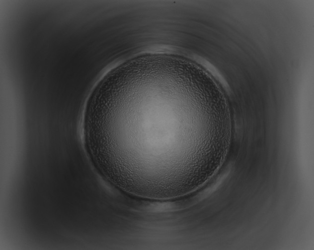 X0000100910845200806241311