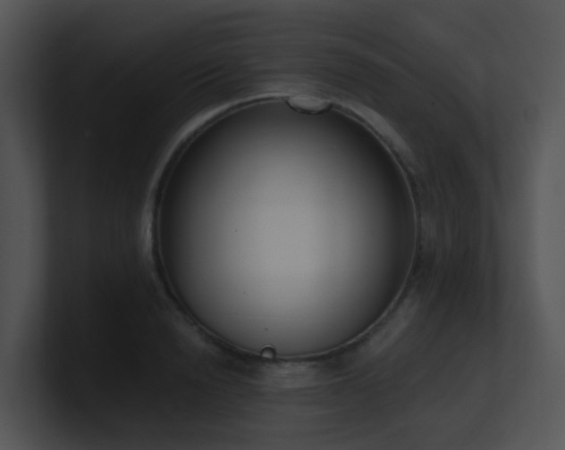 X0000100910846200806241311