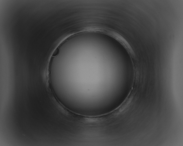 X0000100910852200806241311