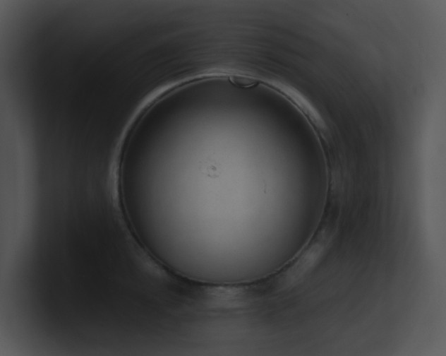 X0000100910854200806241311