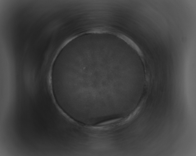 X0000100910855200806241311