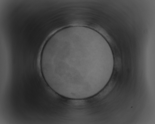 X0000100910856200806241311