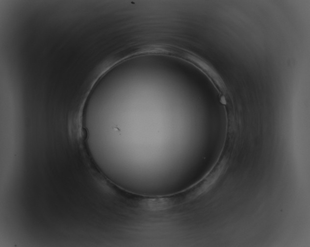 X0000100910858200806241311