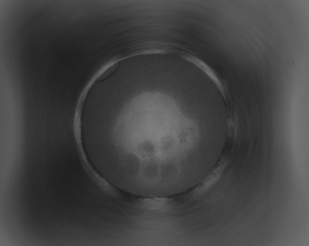 X0000100910859200806241311