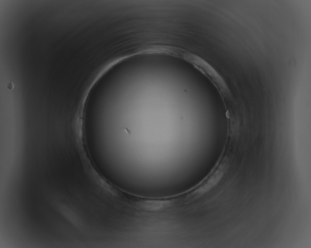 X0000100910860200806241312