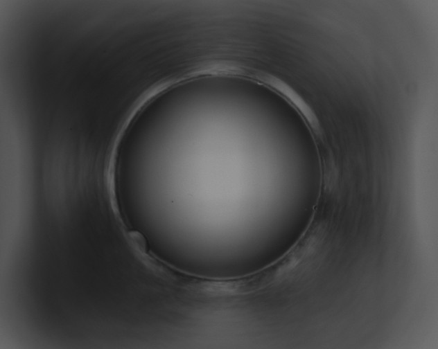 X0000100910861200806241312