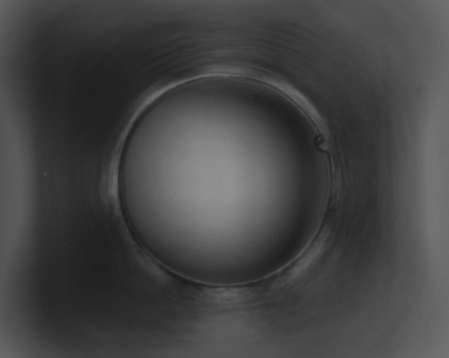 X0000100910862200806241312