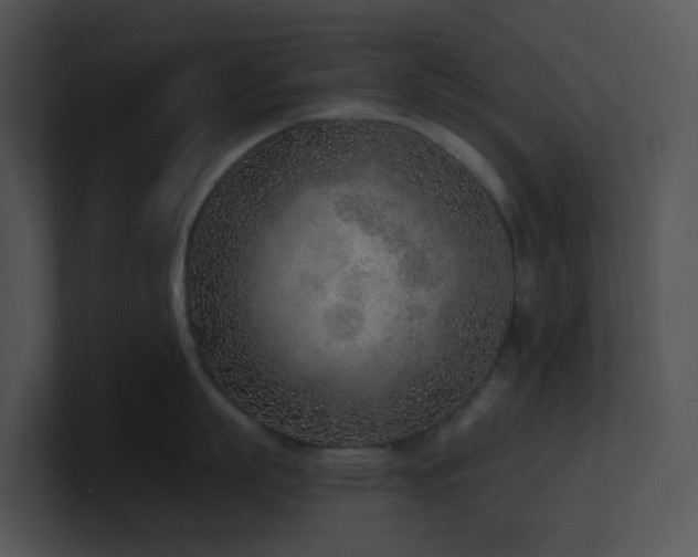 X0000100910863200806241312