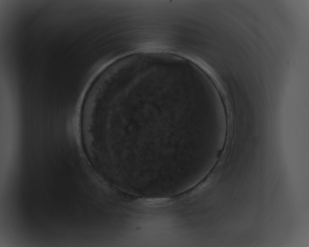 X0000100910864200806241312