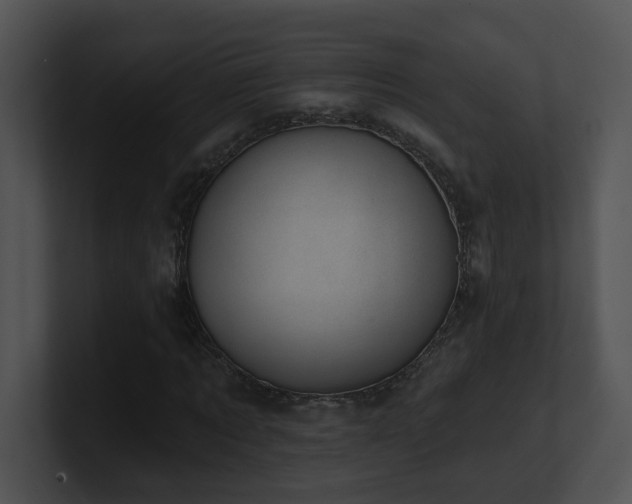 X0000100910869200806241311