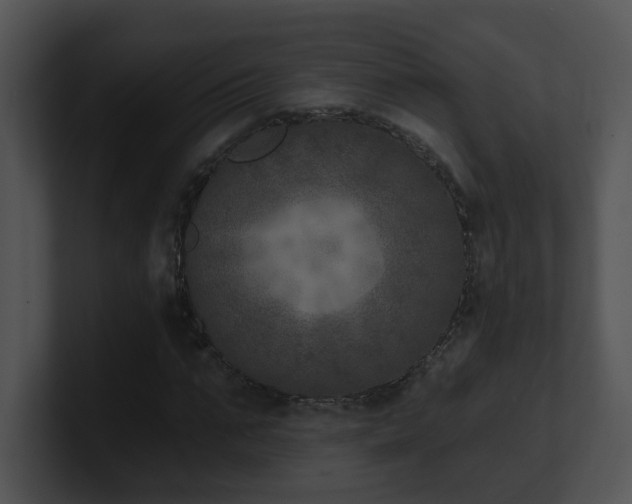 X0000100910871200806241311