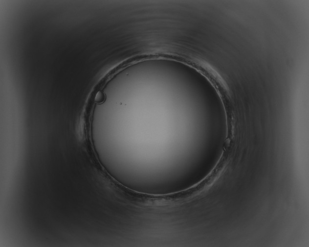 X0000100910876200806241311