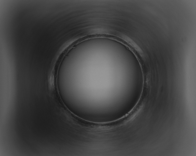 X0000100910877200806241311