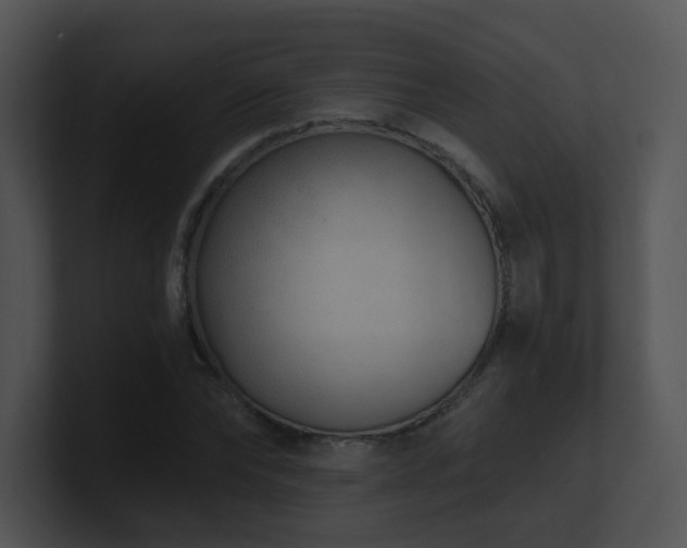 X0000100910878200806241311