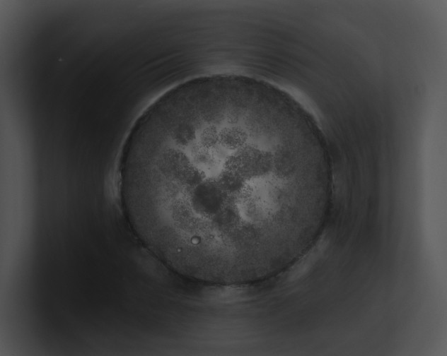 X0000100910879200806241311