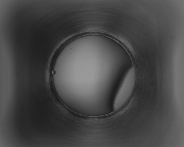 X0000100910880200806241311