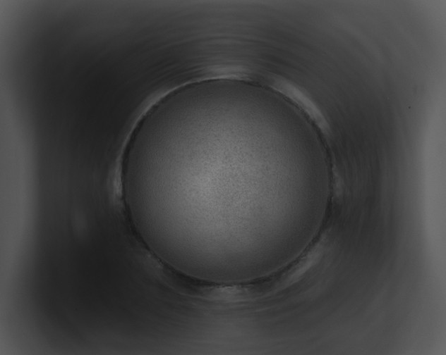 X0000100910883200806241311