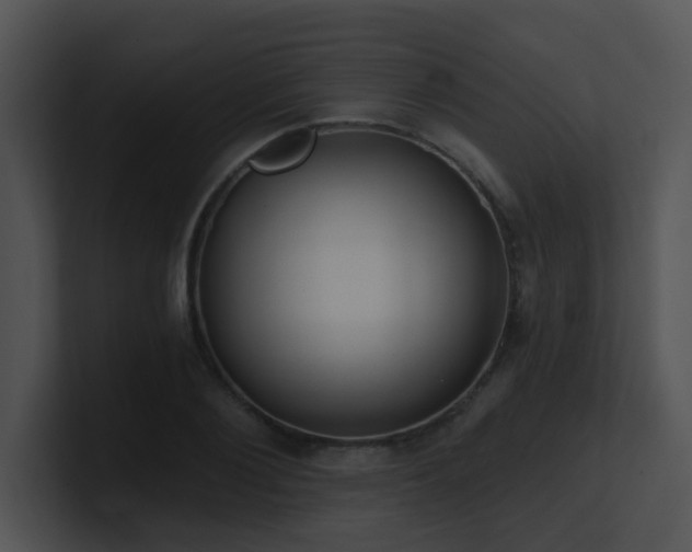 X0000100910884200806241311