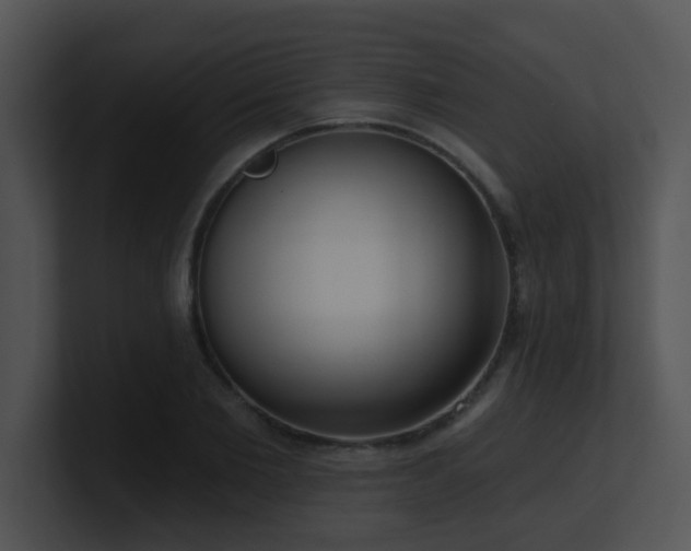 X0000100910885200806241311