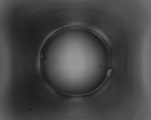 X0000100910888200806241311
