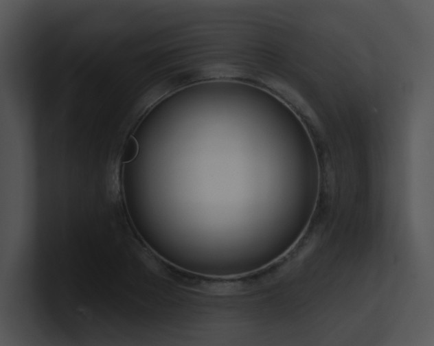 X0000100910889200806241311